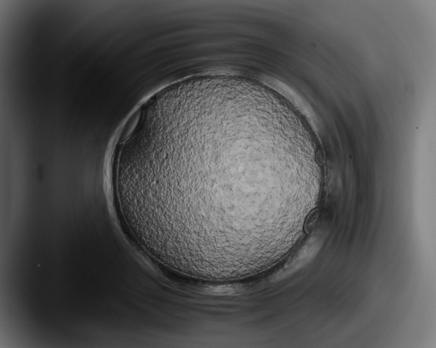 X0000087540843200705181047