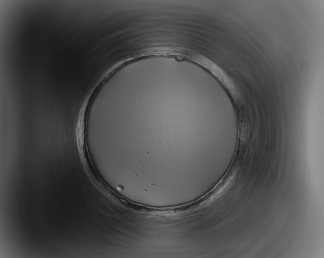 X0000087540844200705181047