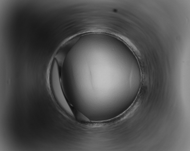 X0000087540846200705181047