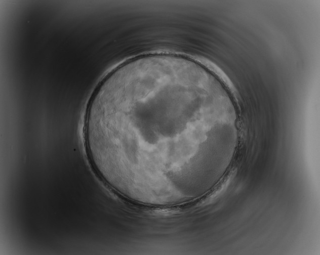 X0000087540847200705181047