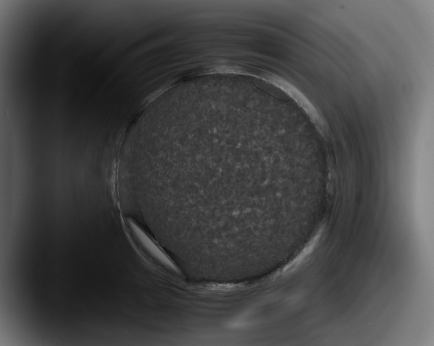 X0000087540849200705181047