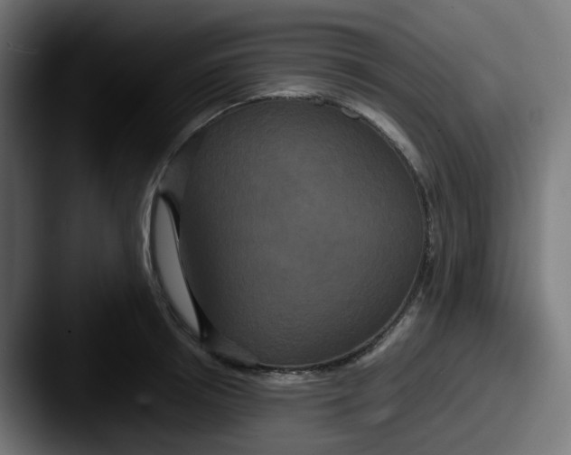 X0000087540850200705181047