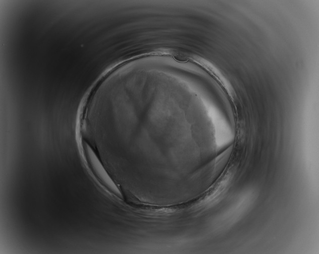 X0000087540851200705181047