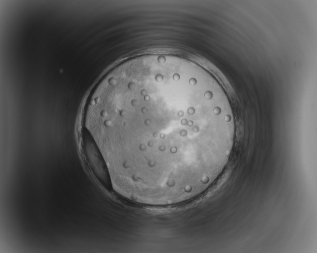 X0000087540852200705181047