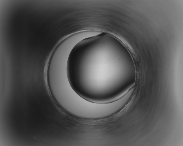 X0000087540854200705181047