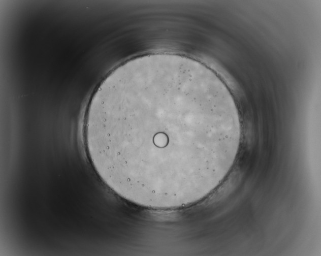 X0000087540856200705181047