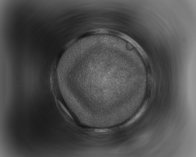 X0000087540857200705181047