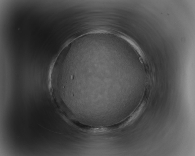 X0000087540858200705181047