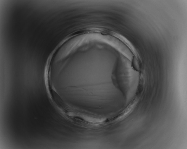 X0000087540859200705181047