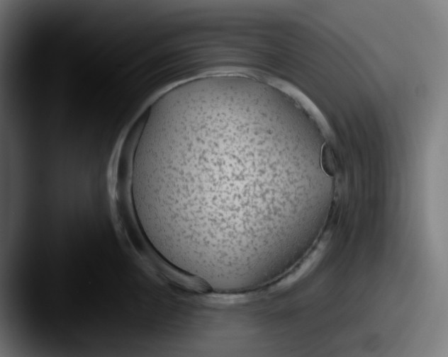 X0000087540860200705181047