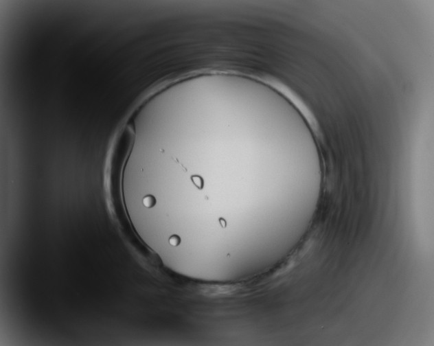 X0000087540861200705181047