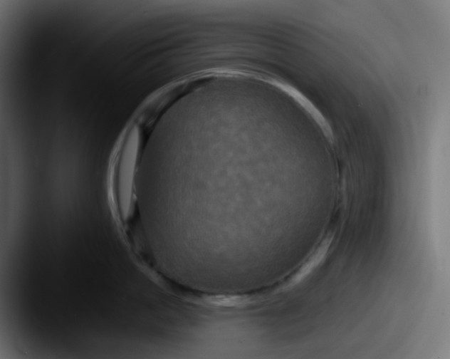 X0000087540862200705181047