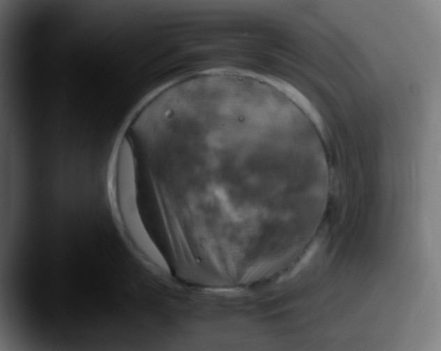 X0000087540863200705181047