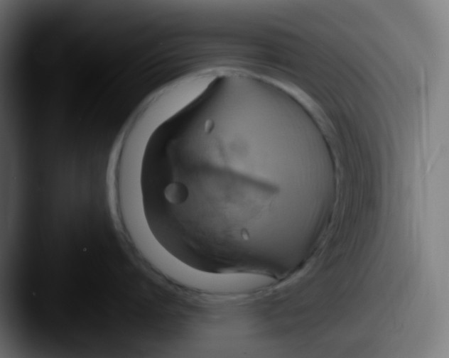 X0000087540864200705181047