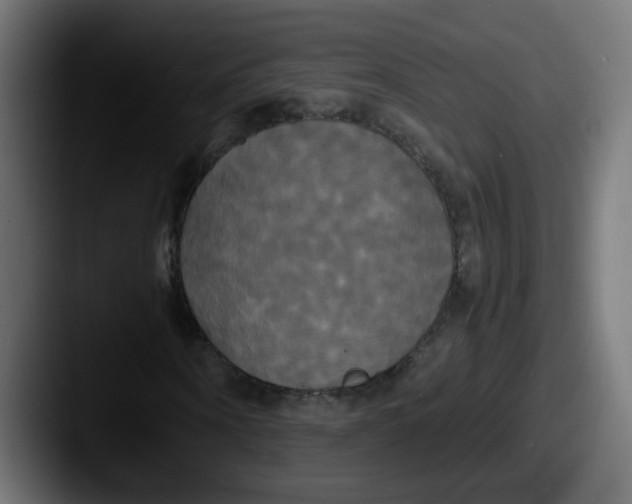 X0000087540866200705181047