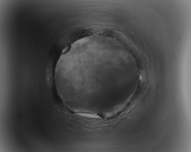 X0000087540867200705181047