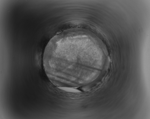 X0000087540868200705181047