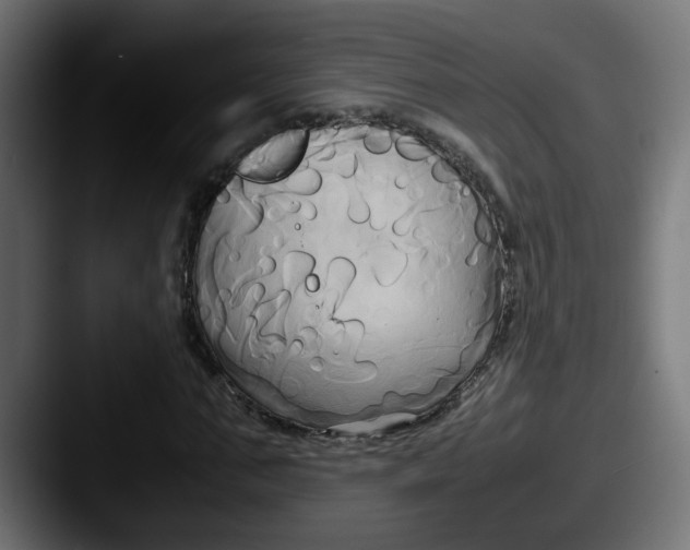 X0000087540871200705181047