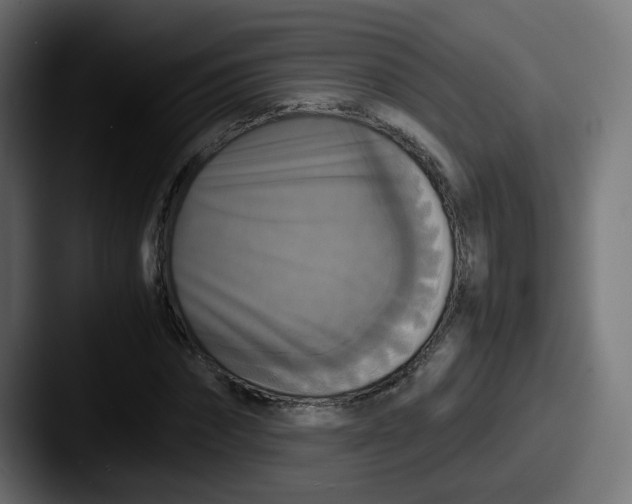 X0000087540874200705181047