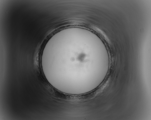 X0000087540875200705181047