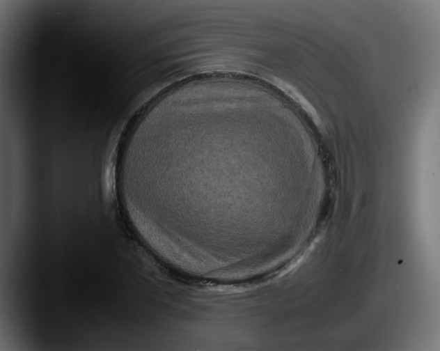 X0000087540877200705181047