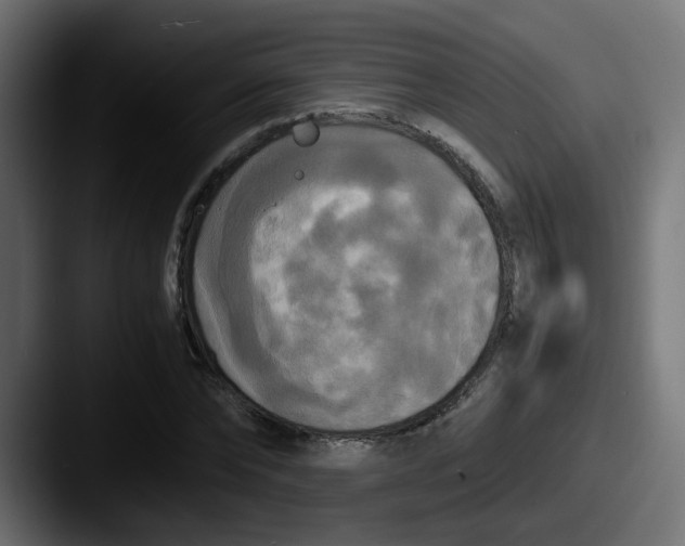 X0000087540878200705181047