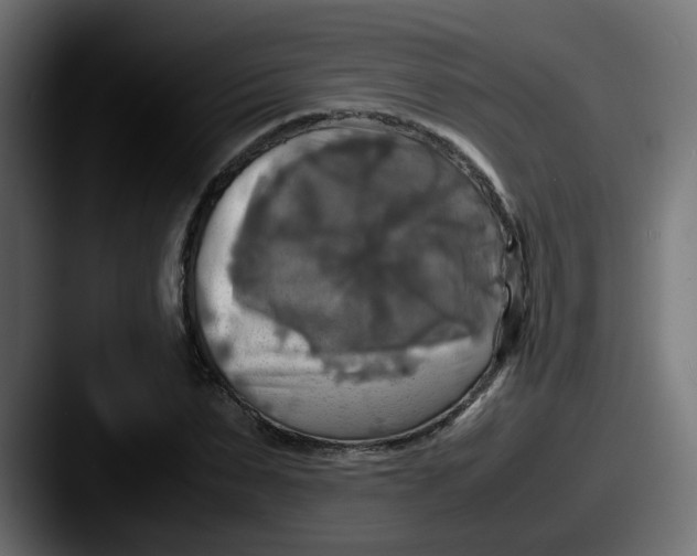 X0000087540879200705181047