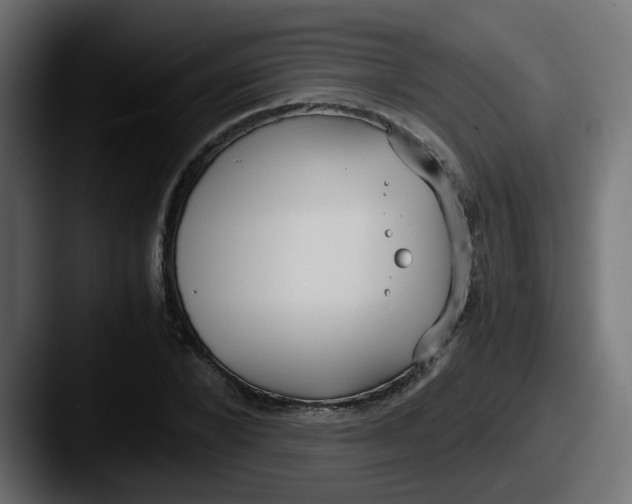 X0000087540880200705181047