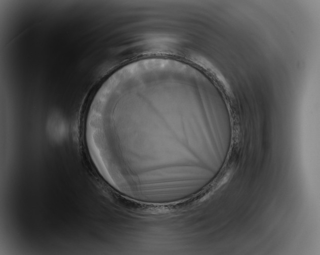 X0000087540882200705181046