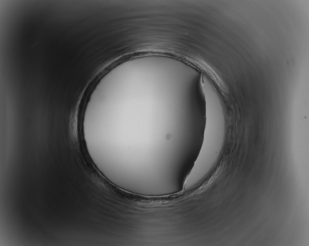 X0000087540884200705181046