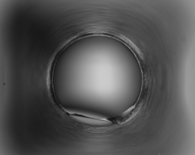 X0000087540885200705181046