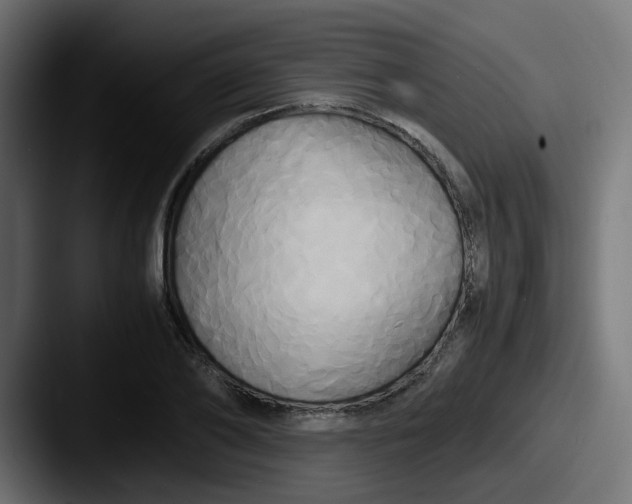 X0000087540886200705181046