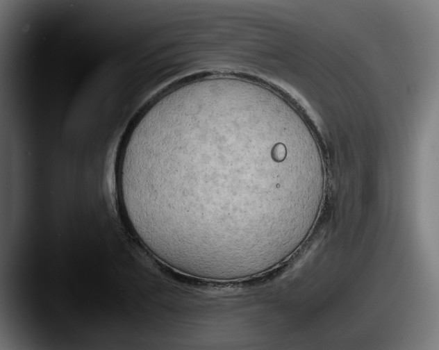 X0000087540887200705181046