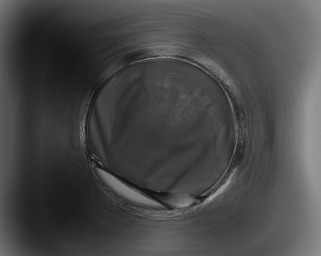 X0000087540889200705181046