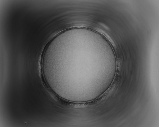 X0000087540890200705181046