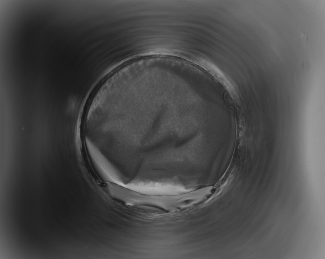 X0000087540892200705181046