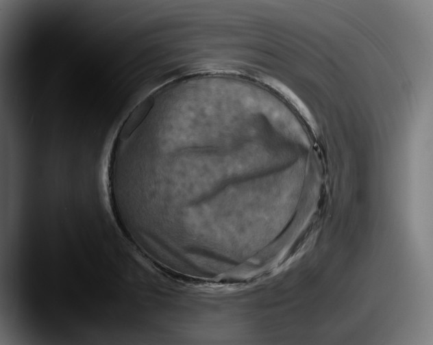 X0000087540893200705181046