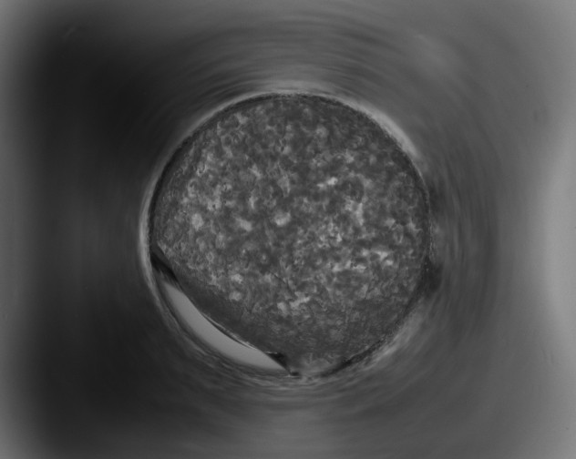 X0000087540895200705181046