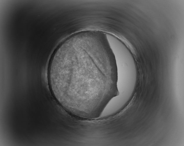 X0000087540896200705181046