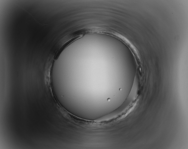 X0000087540897200705181046