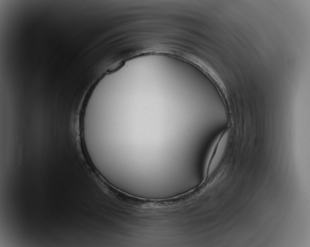 X0000087540898200705181046