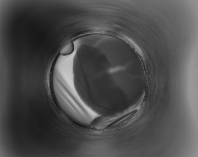 X0000087540899200705181046