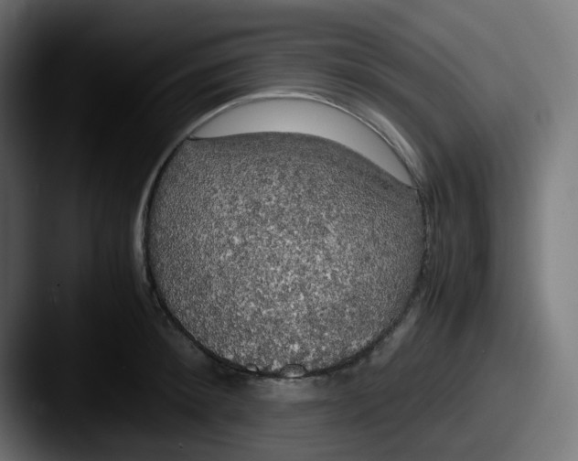 X0000087540900200705181046