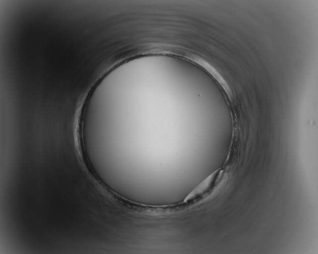 X0000087540901200705181046