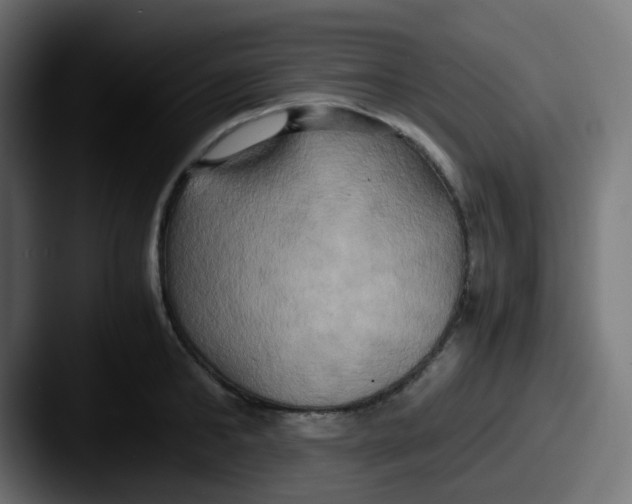 X0000087540902200705181046