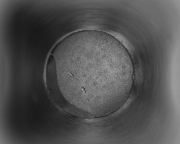 X0000087540904200705181046