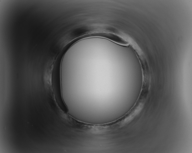 X0000087540905200705181046