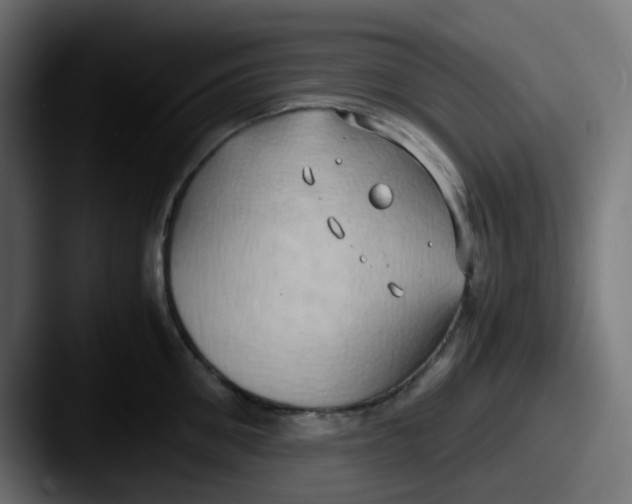 X0000087540906200705181046