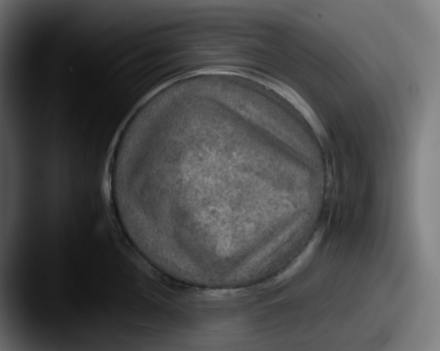 X0000087540908200705181046