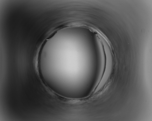 X0000087540909200705181046